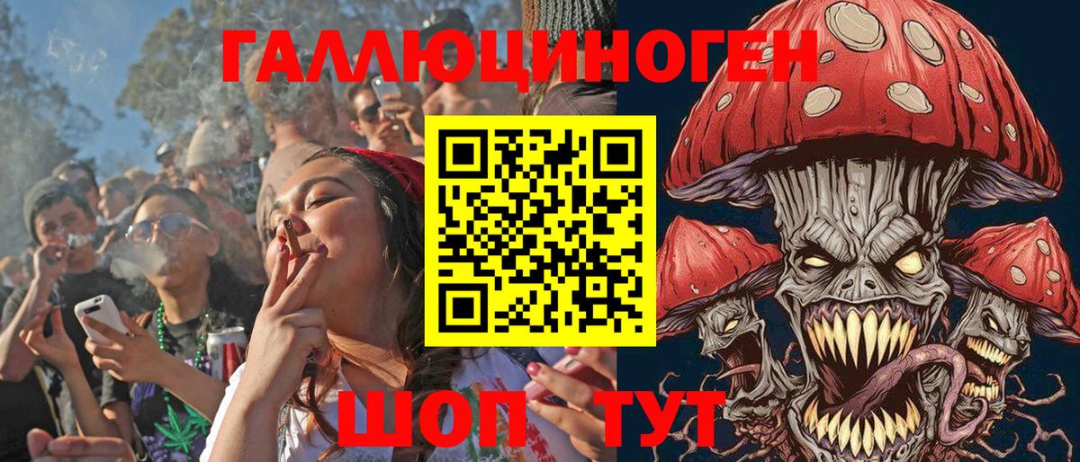 Псилоцибиновые грибы GOLDEN TEACHER Новочебоксарск