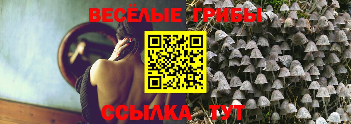 Новочебоксарск  Псилоцибиновые грибы ЛСД  Псилоцибиновые грибы ЛСД  Вход с VPN 